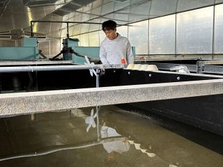 【新・地域考】広がる陸上養殖ビジネス　エビ飼育や水槽開発活発化