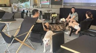 犬と楽しむボートレースも、中国で続くペットブーム