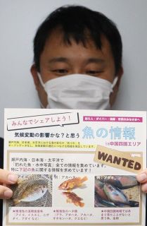 中四国海域の魚に気候変動影響は　環境省事務所がデータ情報募集