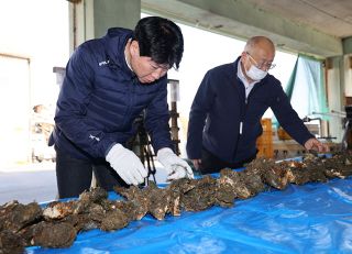 カキ大量死、伊原木知事が邑久町漁協視察　被害状況聞き「資金繰り支援検討」