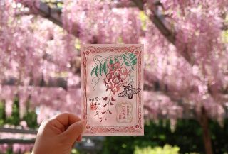 倉敷 阿知の藤 御朱印頒布　阿智神社 花とクマバチあしらう