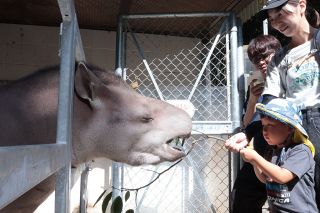 餌やりで親子ら触れ合い　池田動物園で体験企画