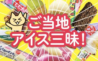 自腹でお取り寄せ 47都道府県めぐり（５１）ご当地アイス
