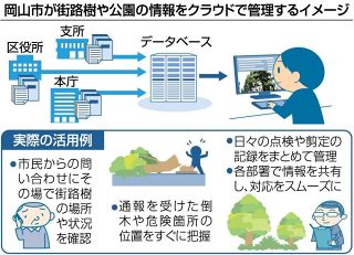 岡山市、倒木事故防止へ効率管理　街路樹・公園情報クラウドに集約　