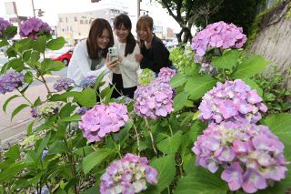 中国地方が梅雨入り