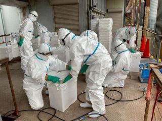 津山の養鶏場 鳥インフル陽性　岡山県内今季初、４２万羽処分へ