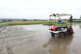 主食用米の生産量目安据え置き　岡山の２６年産、飼料用は増産へ