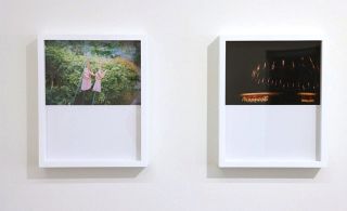 日常に漂う物語性　写真家・森本美絵（備前市出身）２０年ぶり岡山個展