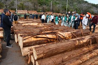 スギ、ヒノキ競りで次々落札　第５０回新見地区木材まつり