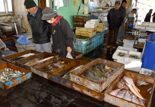 魚買うなら漁協がいい　魚好きな記者が笠岡訪問