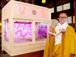 真庭・木山寺 元日から白ヘビ公開　運気上げて 地元企業がケージ製作