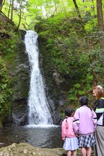清水と新緑を堪能　津山・横野滝開き