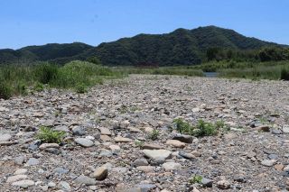 「れき河原」保護、国交省事務所　生態系保全へ２６年度にも開始