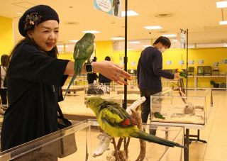 天満屋倉敷店にミニ動物園オープン　鳥や爬虫類50種