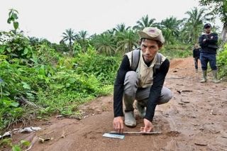 巡回中に絶滅危惧種スマトラトラの足跡発見　インドネシア「しま模様の祖父母」共存図る