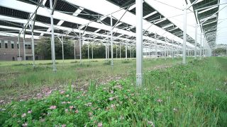 営農型太陽光発電スタート　岡山・鏡野の水田で山田養蜂場
