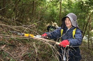 備前・南方森林公園を再整備　地元住民有志 草刈りなどに汗