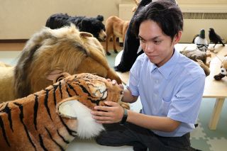 動物の「姿」よく分かった 精巧な模型２８体展示　岡山盲学校で「さわれる動物園」お目見え