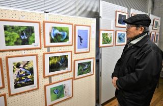 鮮やかな青 ブッポウソウ魅力発信　吉備中央で写真コンテスト作品展