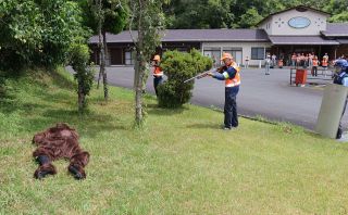 緊急銃猟訓練や鈴貸与 ツキノワグマ対策強化　生息域抱える作州地域の行政、警察、企業