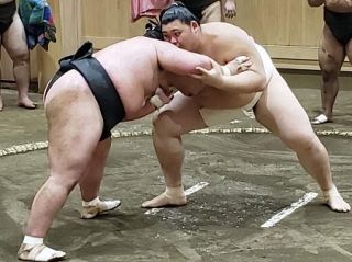 大の里１５番、秋場所へ稽古再開　鋭い出足、内容に納得