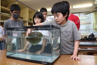 岡山盲学校で科学実験のイベント　視覚障害児らが魅力に触れる