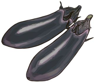 【食材ノート】千両ナス　新品種広がり収量増