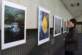 自然の風景捉えた３１作品　写真家・木村琢磨さん 岡山で個展