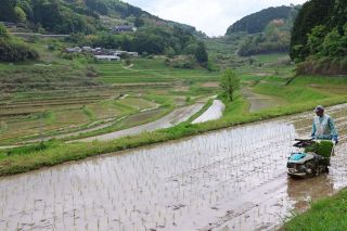 初夏の風に揺れる早苗　美咲 大垪和西の棚田で田植え
