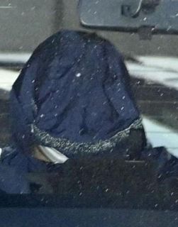 栃木の強殺未遂疑い、夫婦再逮捕　容疑否認、実行役に指示か