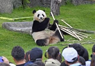中国、パンダ貸与「重視」　李首相、対米へ協力訴え