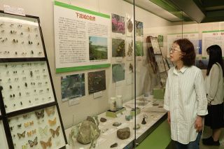 高梁川流域の昆虫、植物、石　９００点展示 倉敷 自然史博物館