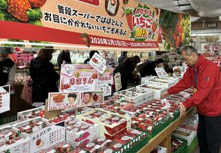 イチゴ尽くしのまつり開催中　農マル園芸吉備路農園、２８日まで