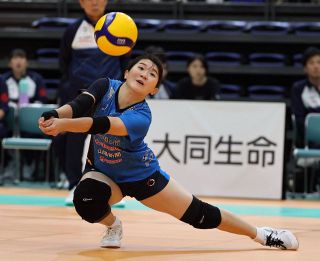 シーガルズ２４、２５日にホーム開幕戦 ＳＶリーグ女子