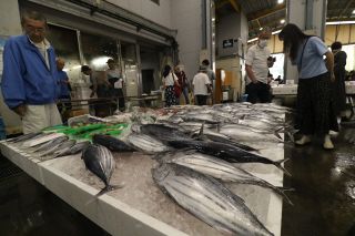 備前・伊里漁協で感謝フェア始まる　鮮魚や飲食屋台ずらり