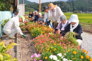最優秀団体に堀坂長寿会　津山市 ２６年度「花いっぱいコンクール」