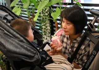韓国、血縁重視で里親不足　ソウルの女性、１０年活動　日本での経験がきっかけ