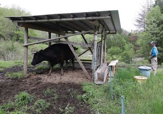 【岐路に立つコメ】第２部あえぐ農家④担い手不足　背景に高齢化や経営難