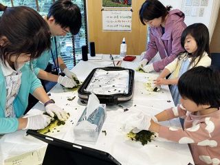 自然豊か 程よく便利な岡山移住を　県と真庭、備前市 東京でイベント
