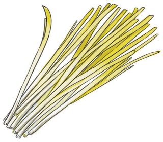 【食材ノート】黄ニラ　鍋料理や卵とじに