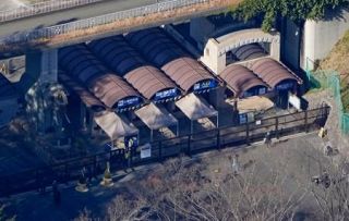 脱走のオオカミ、園内で捕獲　多摩動物公園、麻酔銃で薬投与