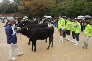 岡山県畜産共進会 最優秀　肉用は哲多和牛牧場（新見） 乳用は丸山さん（真庭）