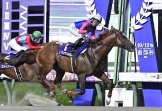 メイショウハチローが優勝　地方競馬のマイル南部杯