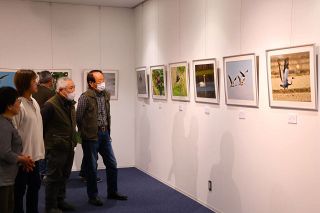 躍動感ある一瞬捉える　玉野野鳥写真同好会が初の作品展