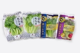 野菜栽培強化へ植物工場拡張　旭テクノプラント、旺盛な需要受け