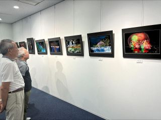 朝焼けや星空収めた60点　玉野・鉾立写友会が作品展