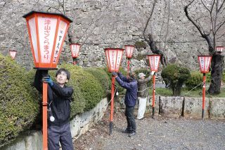 鶴山公園にぼんぼり１９４本設置　２８日から「津山さくらまつり」