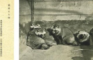 戦前の国家機関、動物養殖　タヌキやキツネ、毛皮利用　犠牲の歴史「忘れないで」