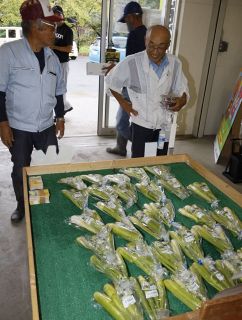 マコモタケのおいしさ知って　里庄町出身、藤井空さんがＰＲソング