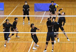 １４、１５日にホームでＡｓｔｅｍｏ戦 シーガルズ バレーＳＶ女子